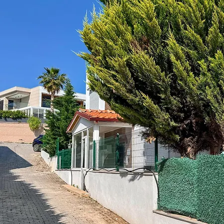 Zeytin * Kusadasi
